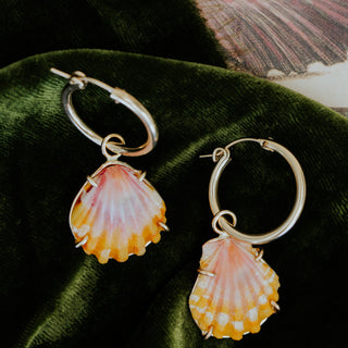 Charm hoop earrings adorned with Hawaiian sunrise shells in gold