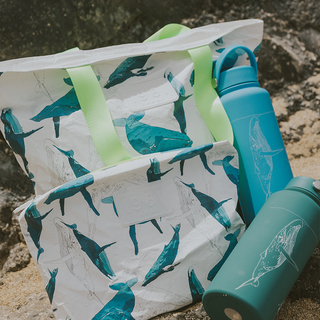 Adventure Pouch - Kohola Migration