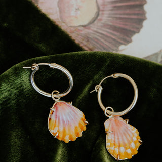 Charm hoop earrings adorned with Hawaiian sunrise shells in gold
