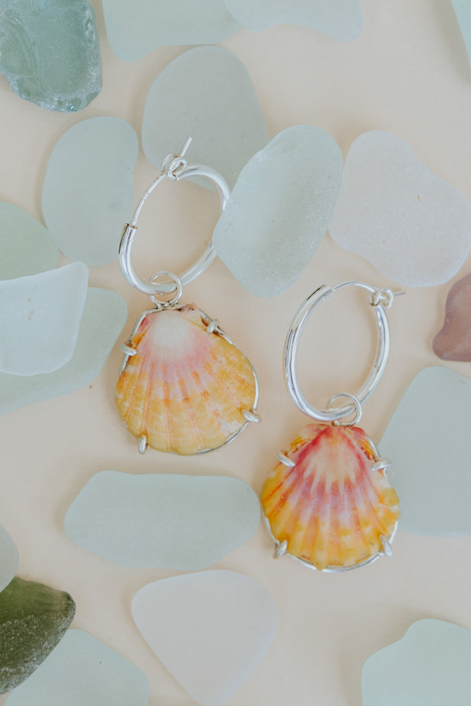 Charm hoop earrings adorned with Hawaiian sunrise shells in sterling silver