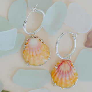 Charm hoop earrings adorned with Hawaiian sunrise shells in sterling silver