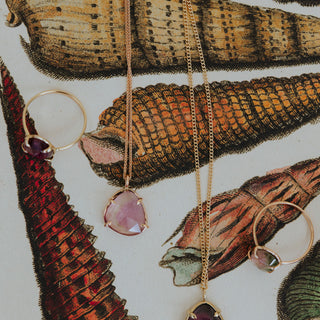 Charm Hoops - Sunrise Shells