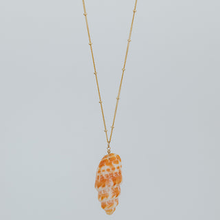 Single Shell Necklace - Miter Shell