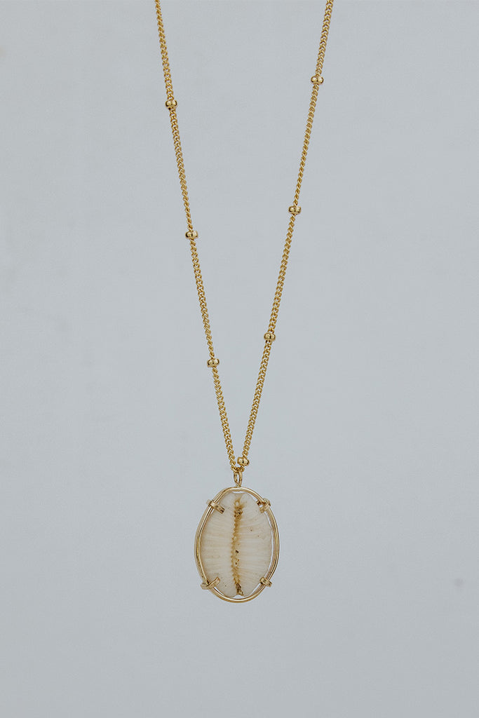 Prong Set Shell Necklace - Large Cowrie
