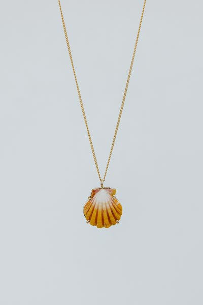 Sunrise Shell Necklace - 16" Chain