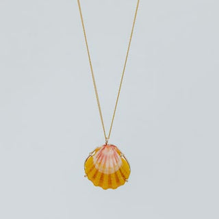 Sunrise Shell Necklace - 18" Chain