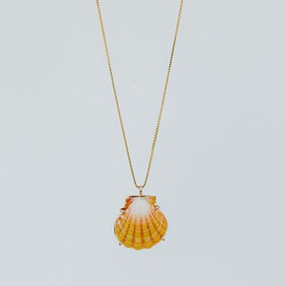 Sunrise Shell Necklace - 18" Chain