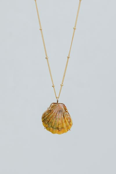 Moonrise Shell Necklace