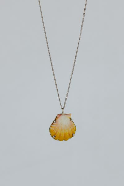 Sunrise Shell Necklace - 14k White Gold