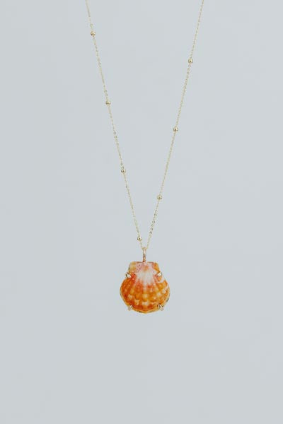 Wings Hawaii prong set sunrise shell necklace 14k yellow gold