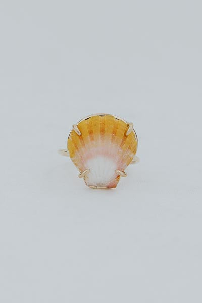 Prong Set Sunrise Shell Ring - GF