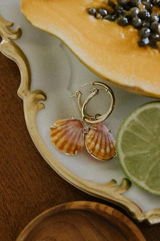 Charm hoop earrings adorned with Hawaiian sunrise shells in gold
