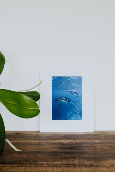 Tara Shay Photo - Mom and Baby Matted Print