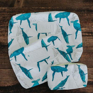 Adventure Pouch - Kohola Migration