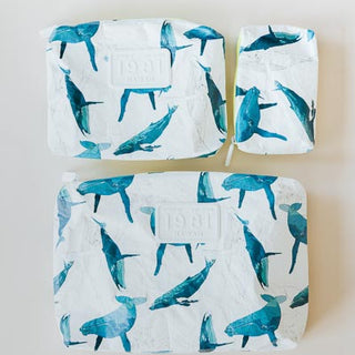 Adventure Pouch - Kohola Migration