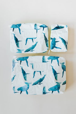 Adventure Pouch - Kohola Migration