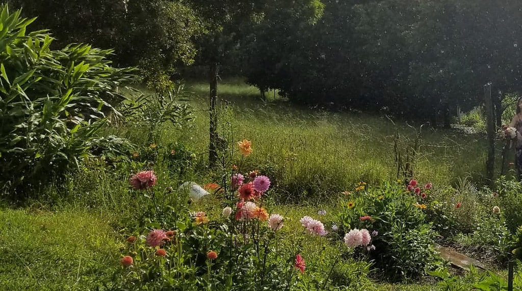 The World Is A Garden - Behind Fall 2018