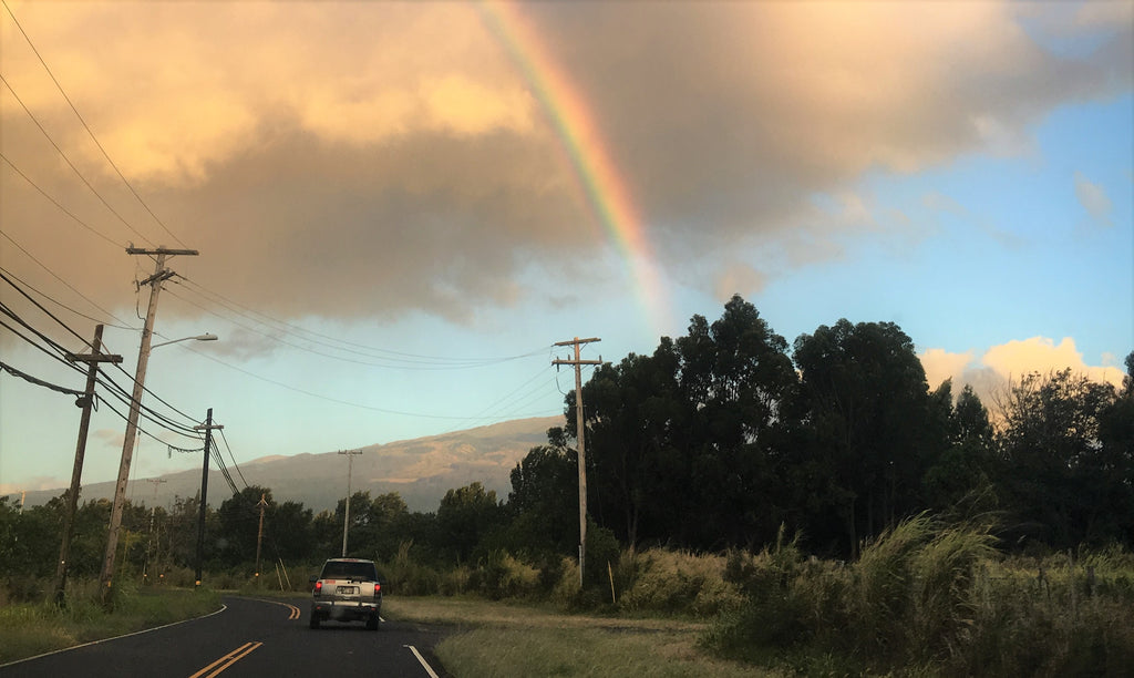 What To Do In Maui When It Rains