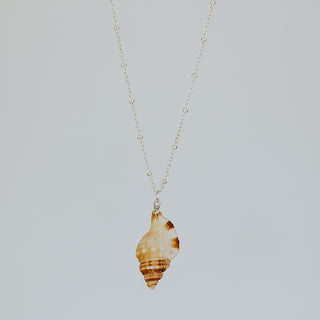 Hawaiian Seashell Necklace jewels gemstone triton shell sterling silver layer Paia Hawaii mermaid boho 