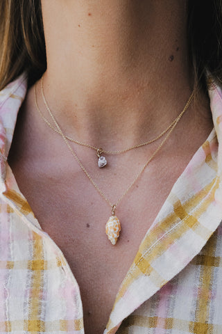 Single Shell Necklace - Miter Shell