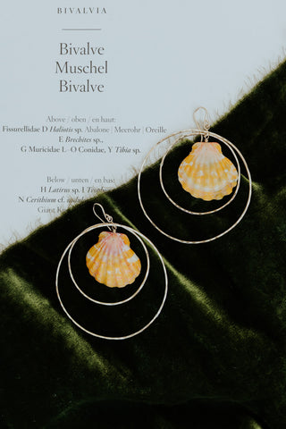 Double Hoop Earrings - Sunrise Shell