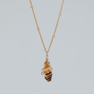 Hawaiian Seashell necklace with gold chain handmade on Maui Hawaii Triton shell boho accessories