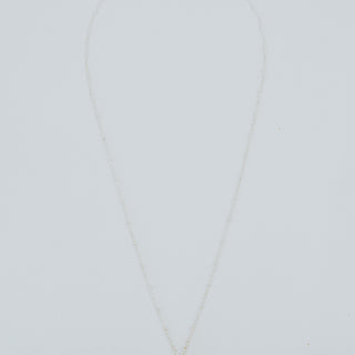 Single Shell Necklace - Drupe Shell