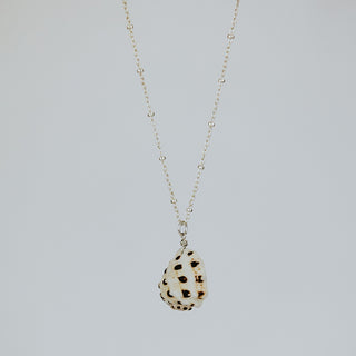 Single Shell Necklace - Drupe Shell