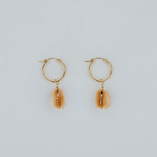 Gold Hoop earrings with Hawaiian Cowrie Shells Made on Maui