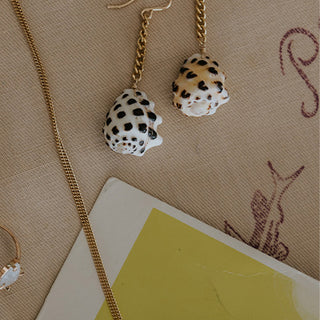 Shell Drop Chain Earrings - Drupe Shell
