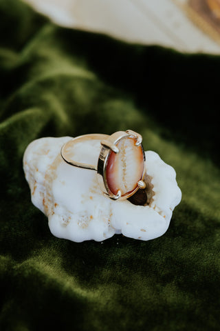 Wings Hawaii cowrie shell ring