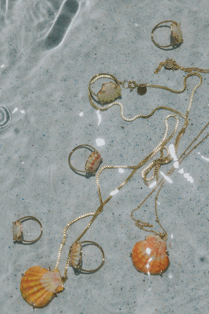 Prong Set Sunrise Shell Ring – Wings Hawai'i