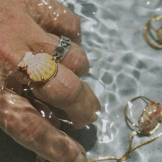 Prong Set Sunrise Shell Ring - GF