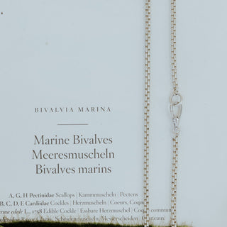 Venetian Chain Necklace