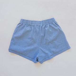 Wings Hawaii Aloha shorts in sky blue - back