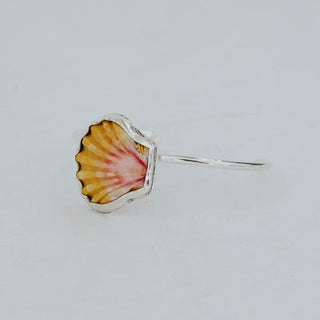 Sunrise Shell Cuff
