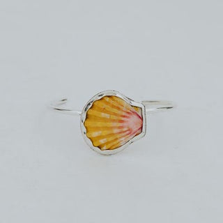 Sunrise Shell Cuff