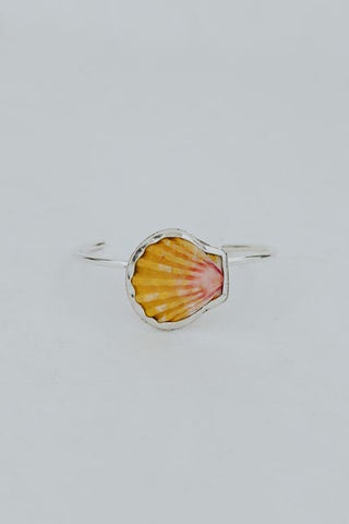 Sunrise Shell Cuff