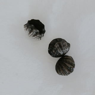 Crystal Clam Shells