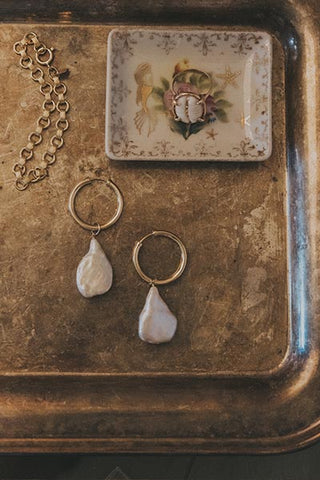 Prong Set Cowrie Face Ring