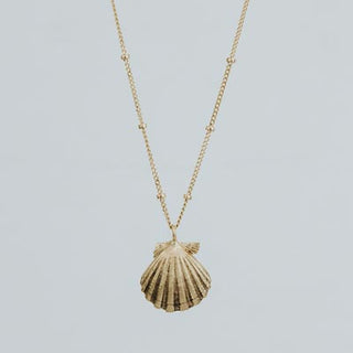 Forever Sunrise Shell Necklace