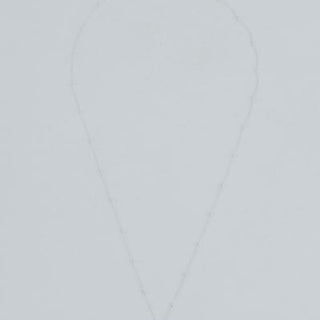 Forever Sunrise Shell Necklace