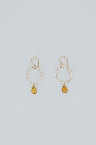 Petite Full Circle Earrings - Zicron