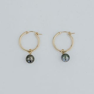 Charm Hoops - Tahitian Pearl
