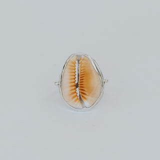 Hawaiian Cowrie Shell Sterling Silver Ring