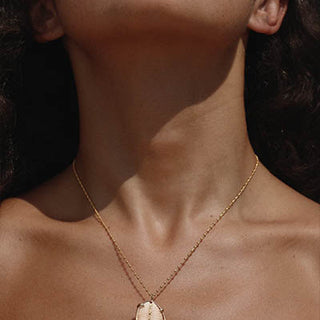 Prong Set Shell Necklace - Granulated Cowrie