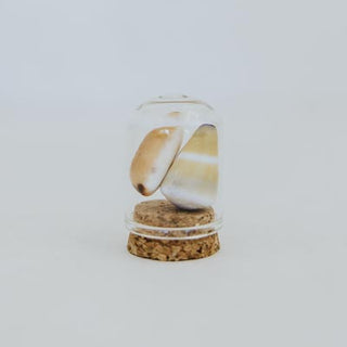Curiosity Dome Jars