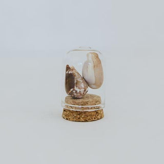 Curiosity Dome Jars