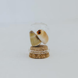 Curiosity Dome Jars
