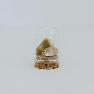 Curiosity Dome Jars